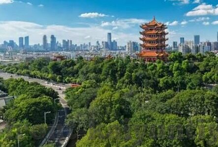 手机森林舞会下载-手机森林舞会，一场虚拟与现实的奇妙融合