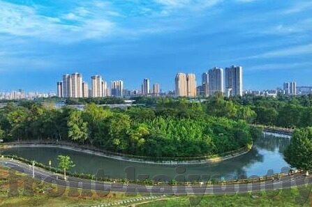 足球比分及时更新-足球比分及时更新，绿茵场上的数字心跳
